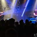 abstuerzende-brieftauben-hirsch-nuernberg-17-12-2018_0021
