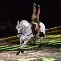 apassionata-arena-nuernberg-23-01-2016_0032