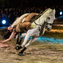 apassionata-arena-nuernberg-23-01-2016_0034