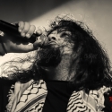 bilocate-hirsch-nuernberg-29-09-2013_01