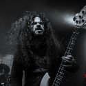 bilocate-hirsch-nuernberg-29-09-2013_13