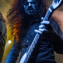 bilocate-hirsch-nuernberg-29-09-2013_28