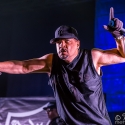 body-count-feat-ice-t-rock-im-park-06-06-2015_0003