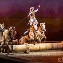 cavalluna-arena-nuernberg-8-2-2020_0023