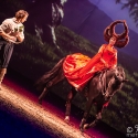 cavalluna-arena-nuernberg-16-2-2019_0010
