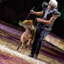 cavalluna-arena-nuernberg-16-2-2019_0040