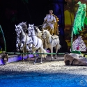 cavalluna-arena-nuernberg-16-2-2019_0043