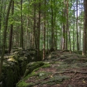druidenhain-09-2012-2