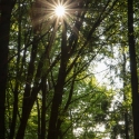 druidenhain-09-2012-27