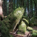 druidenhain-09-2012-35