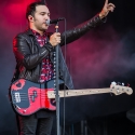 fall-out-boy-rock-im-park-2014-8-6-2014_0014