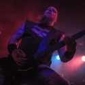grave-12-9-2012-hirsch-nuernberg-5