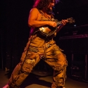 hayseed-dixie-hirsch-nuernberg-21-05-2014_0047