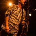 hayseed-dixie-hirsch-nuernberg-21-05-2014_0049
