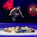 holiday-on-ice-arena-nuernberg-12-12-2019_0021