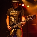 krokus-hirsch-nuernberg-18-05-2014_0021