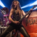 majesty-hirsch-nuernberg-20-12-2013_07