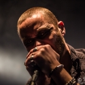 manimal-hirsch-nuernberg-22-03-2016_0006
