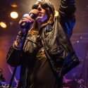 reverse-grip-musichall-geiselwind-04-04-2013-39