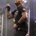 sepultura-out-and-loud-29-5-2014_0015