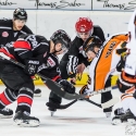 thomas-sabo-ice-tiger-vs-wolfsburg-grizzlys-arena-nuernberg-05-04-2016_0028