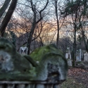 wien-vienna-2012-st-marxer-friedhof-38