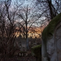 wien-vienna-2012-st-marxer-friedhof-40