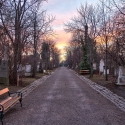 wien-vienna-2012-st-marxer-friedhof-43