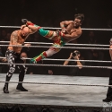 WWE Live Road to WrestleMania 2017