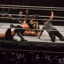 WWE Live Road to WrestleMania 2017