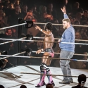 WWE Live Road to WrestleMania 2017