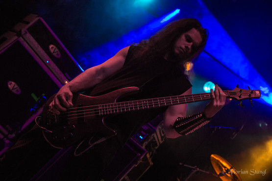 sonne-adam-12-9-2012-hirsch-nuernberg-5