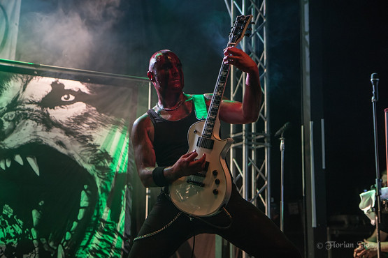 varg-heidenfest-2-11-2012-geiselwind-33