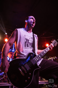 terror-hirsch-nuernberg-29-04-2014_0003