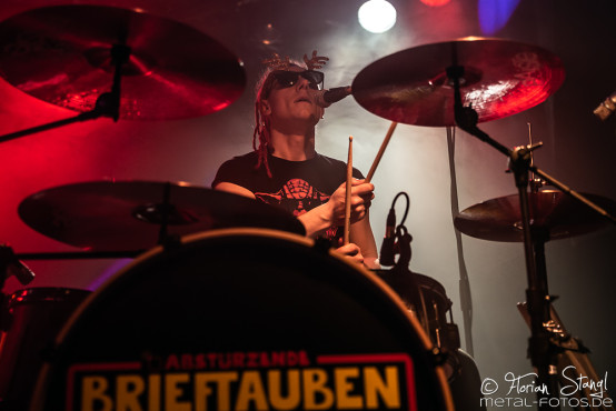 abstuerzende-brieftauben-hirsch-nuernberg-17-12-2018_0012