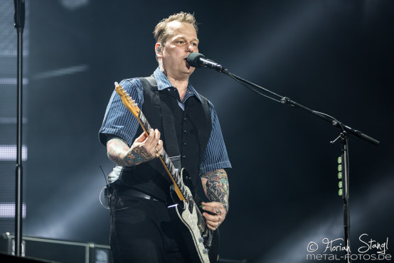 Die Toten Hosen @ Rock im Park 2017, 2.6.2017