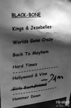 black-bone-hirsch-nuernberg-01-12-2013_38
