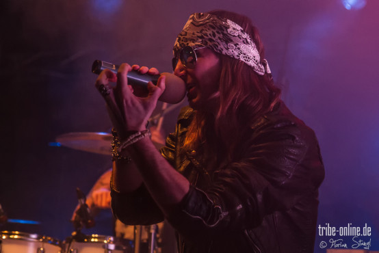 reverse-grip-musichall-geiselwind-04-04-2013-28