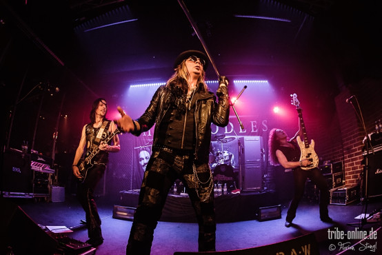the-poodles-rockfabrik-nuernberg-16-03-2014_0010