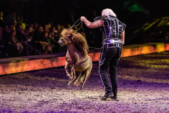 cavalluna-arena-nuernberg-16-2-2019_0017