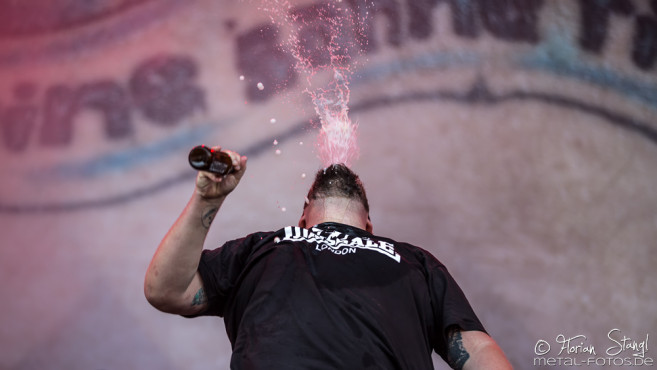 Feine Sahne Fischfilet @ Rock im Park 2017, 3.6.2017