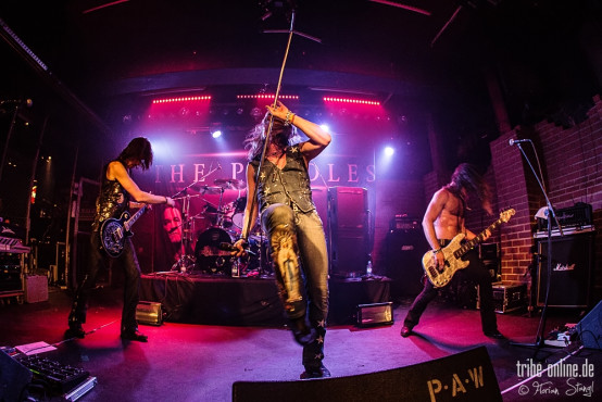 the-poodles-rockfabrik-nuernberg-16-03-2014_0048