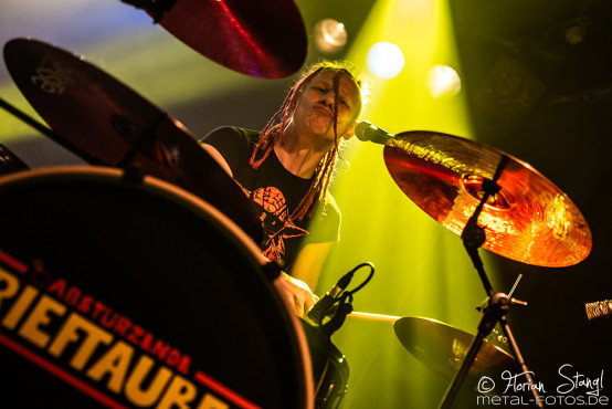 abstuerzende-brieftauben-hirsch-nuernberg-17-12-2018_0032