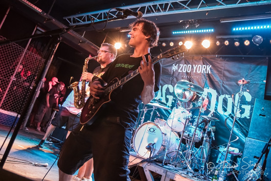 dog-eat-dog-rockfabrik-nuernberg-01-09-2013-17