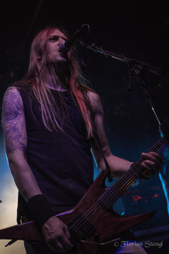 grave-12-9-2012-hirsch-nuernberg-86
