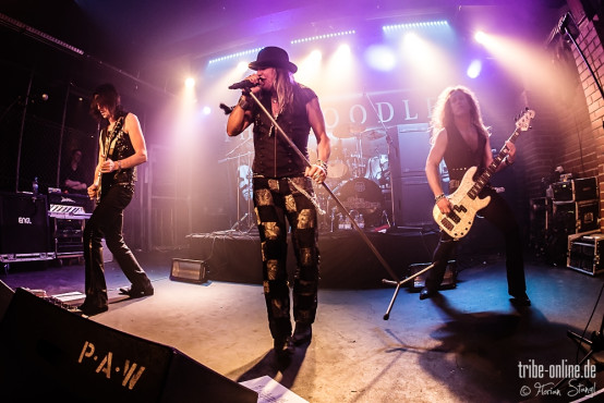 the-poodles-rockfabrik-nuernberg-16-03-2014_0089