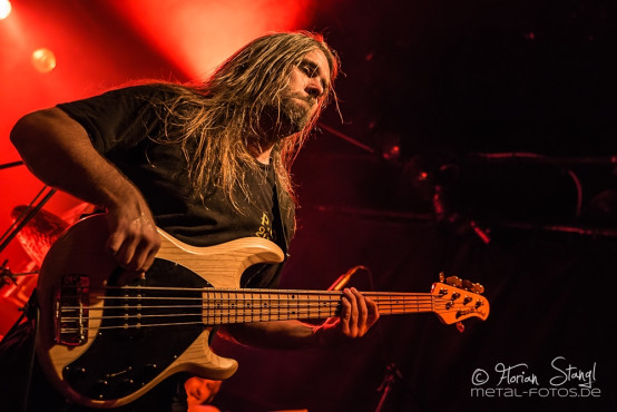 lion-twin-hirsch-nuernberg-16-9-2014_0050