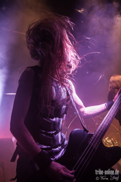 majesty-hirsch-nuernberg-20-12-2013_45