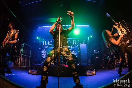 the-poodles-rockfabrik-nuernberg-16-03-2014_0085