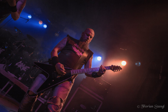 grave-12-9-2012-hirsch-nuernberg-12